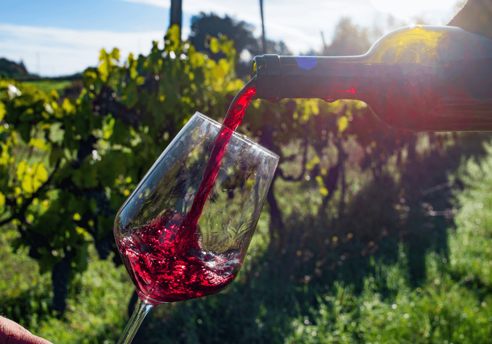 Les vins divin | Notre magasin