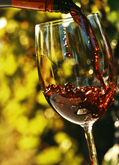 Les vins divin | Accueil